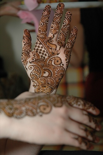 Best & Easy Indian Mehndi Designs Latest Collection for Hands & Feet 2015 (24) - Copy