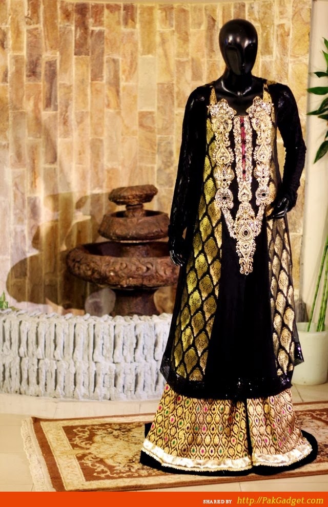 Latest Indian & Pakistani Best Neck-line (Gala) designs for Girls 2014-2015 (18)
