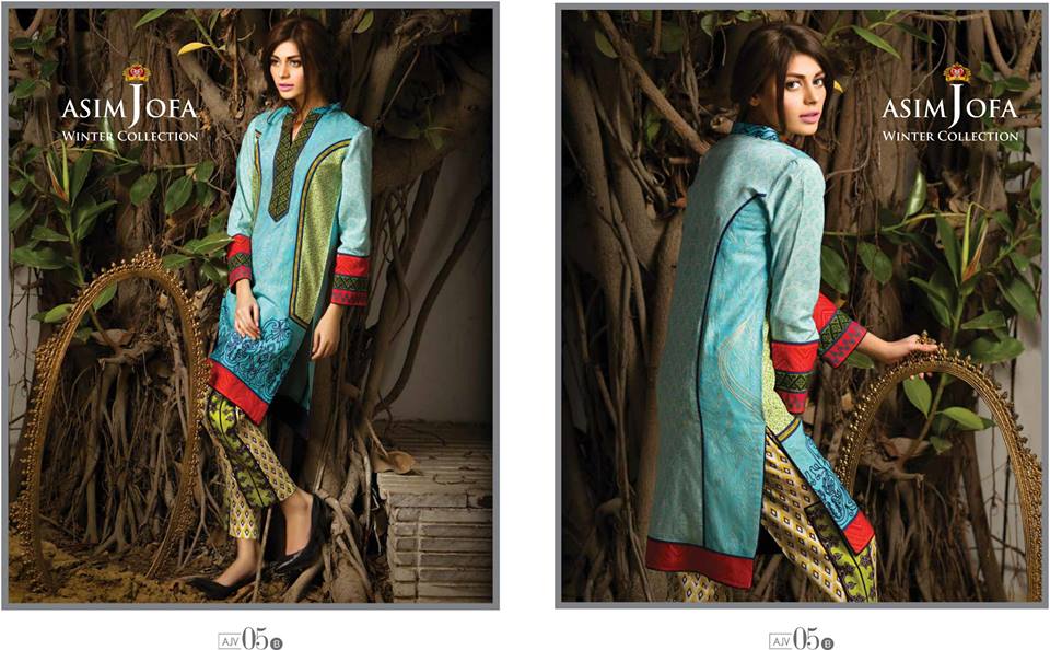 Asim Jofa Latest Winter Embroidered Dresses Collection for Women 2014-2015 (11)