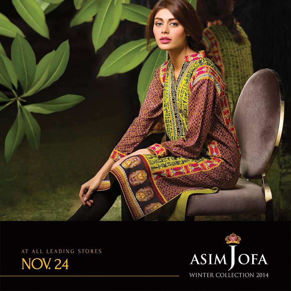 Asim Jofa Latest Winter Embroidered Dresses Collection for Women 2014-2015 (21)