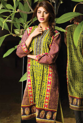 Asim Jofa Latest Winter Embroidered Dresses Collection for Women 2014-2015 (5)