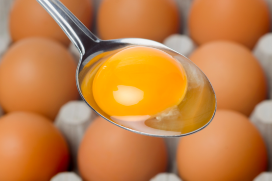 egg yolk masks for hair loss